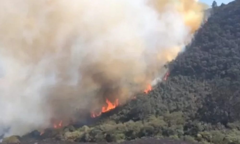 Área destruída por fogo na Serra do Japi, região de Cabreúva