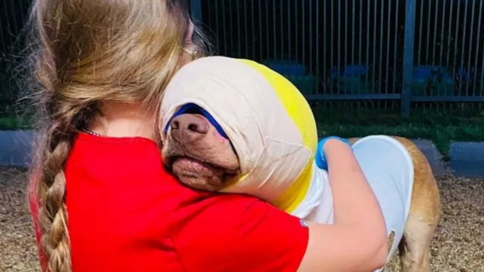 Mulher abraçando cachorro com cabeça enfaixada