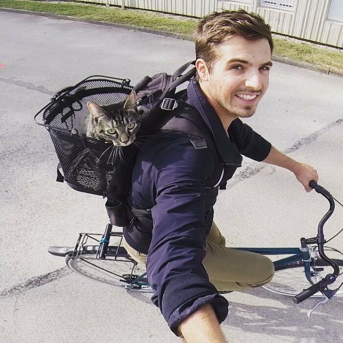 Homem e gato em bicicleta