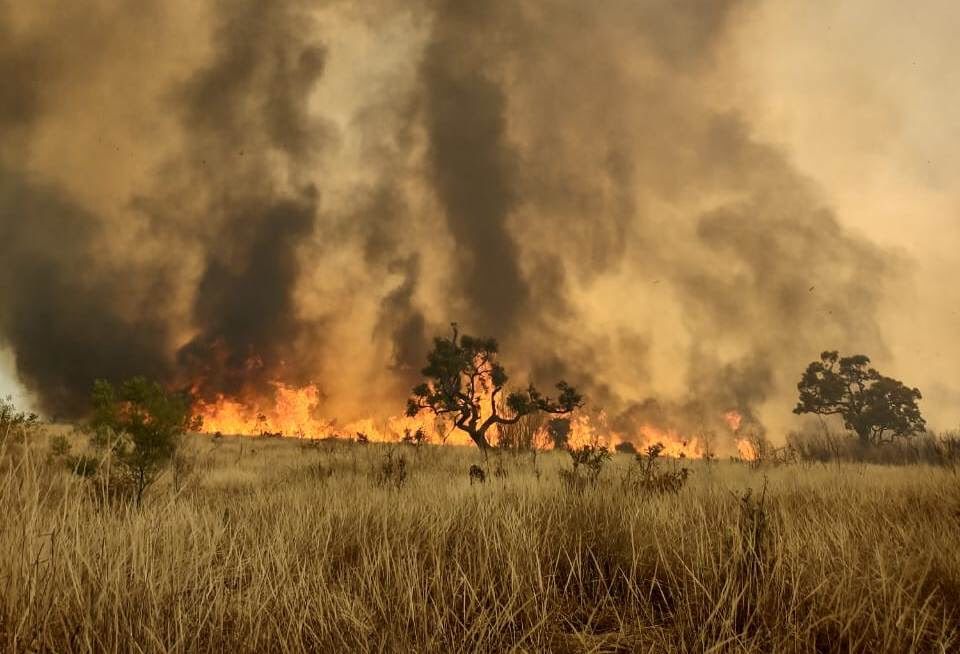 Incêndio no Parque Estadual Juquery