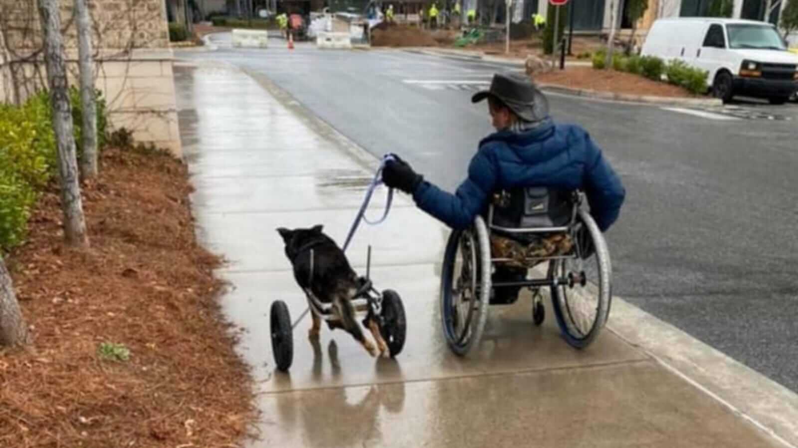 Cachorro e homem em cadeiras de rodas