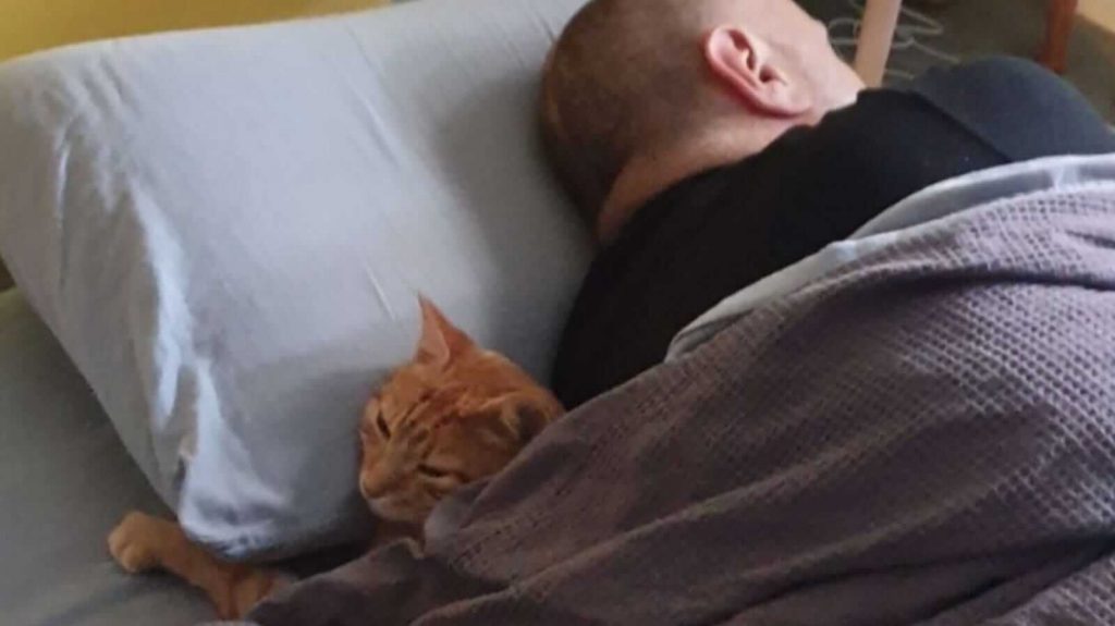 Gato dormindo ao lado de homem