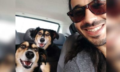 Homem em carro com dois cachorros idênticos
