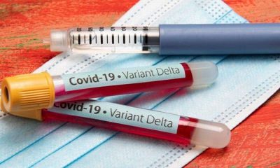 Exames de sangue com etiqueta de variante delta