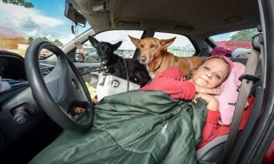 Mulher deitada em carro com dois cachorros