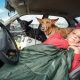 Mulher deitada em carro com dois cachorros