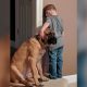 cachorro faz companhia a menino durante castigo