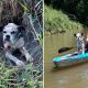 cachorra e mulher em uma canoa no rio