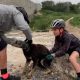 Ciclistas ajudando cachorro com garrafa presa na cabeça