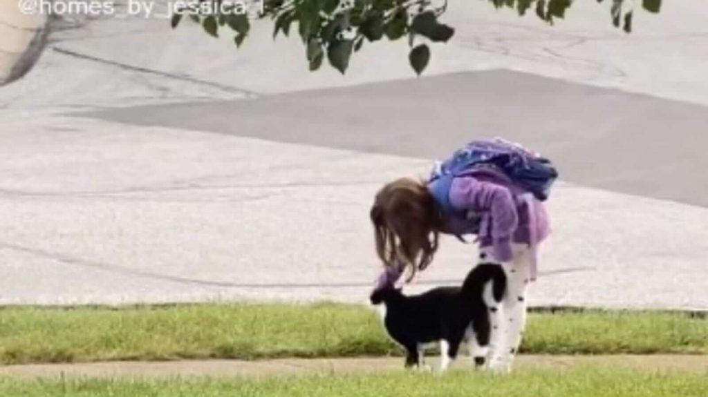 Menina fazendo carinho em gato