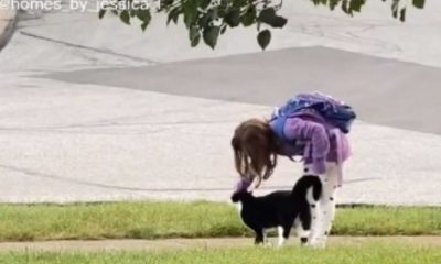 Menina fazendo carinho em gato