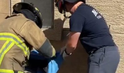 bombeiros salvado gato na preso na parede