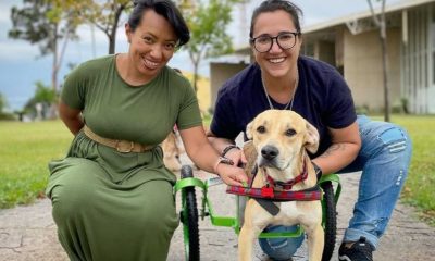 Duas mulheres com cachorro em cadeira de rodas