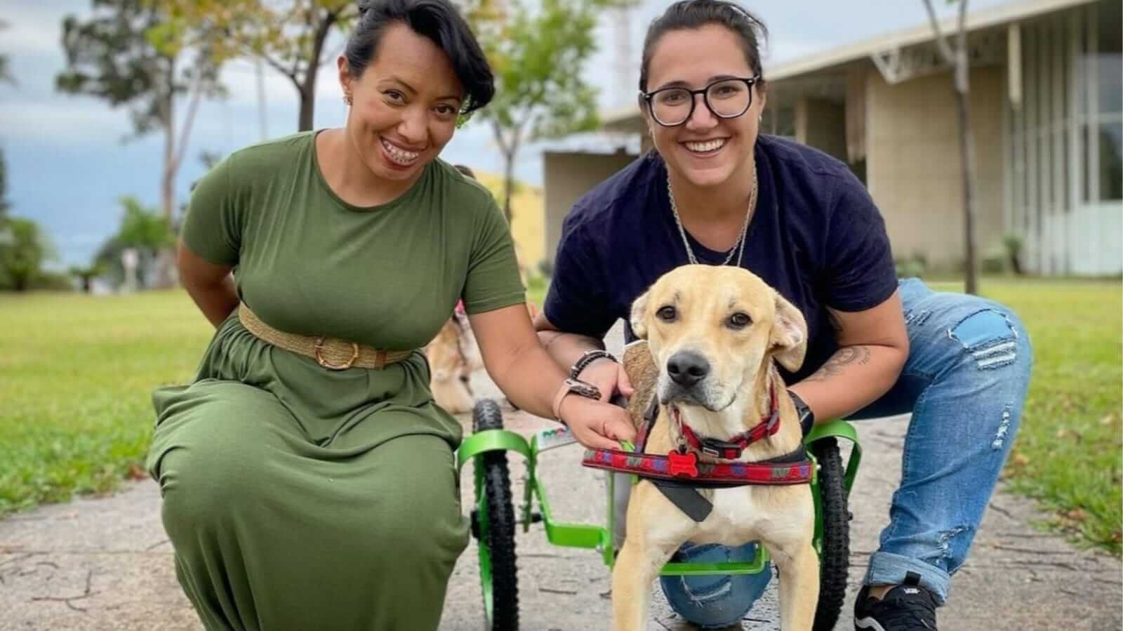 Duas mulheres com cachorro em cadeira de rodas