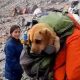 Alpinistas em montanha carregando cachorro