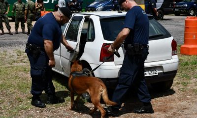 Policiais em treinamento com cachorro