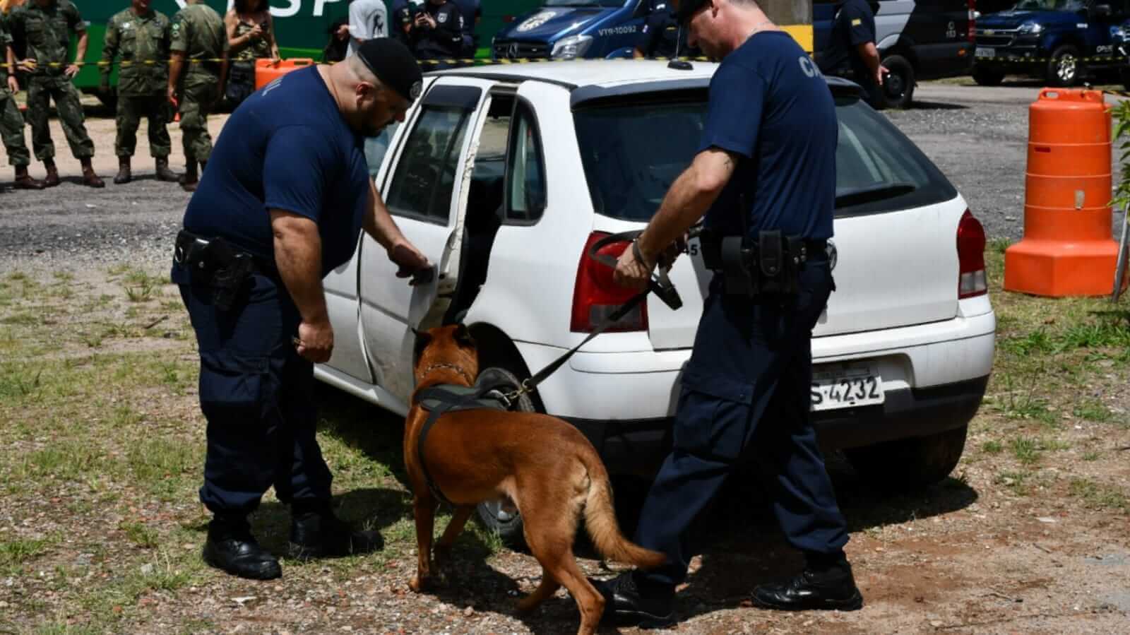 Policiais em treinamento com cachorro