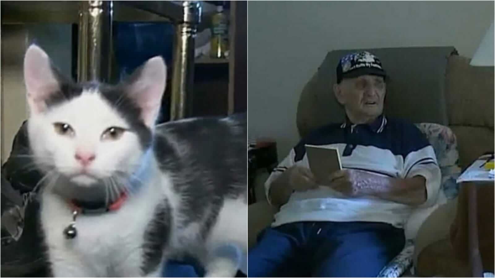 Foto de filhote de gato ao lado de foto de idoso sentado em sofá