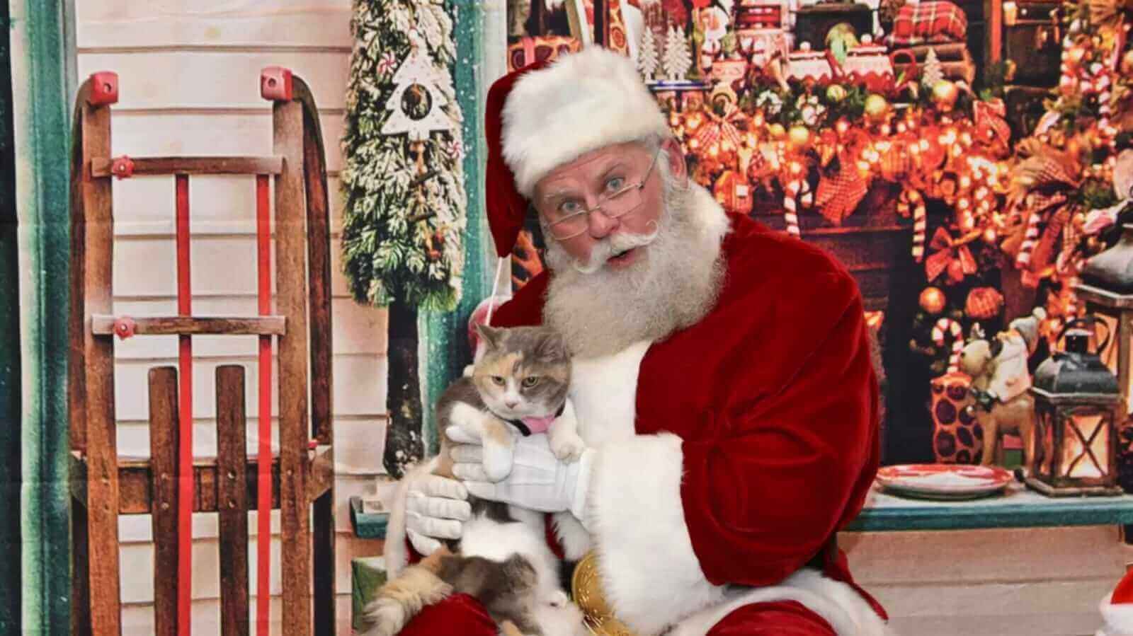 Papai Noel segurando gato no colo
