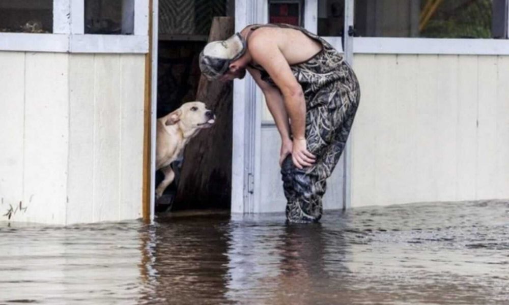 Homem se aproximando de cachorro em enchente