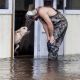 Homem se aproximando de cachorro em enchente