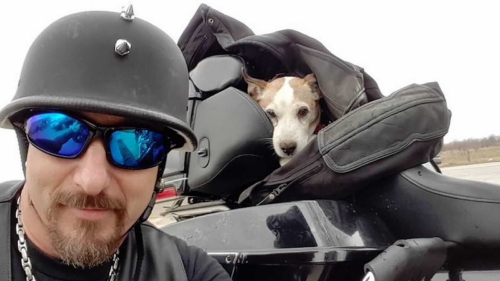 Motociclista e cachorro em moto