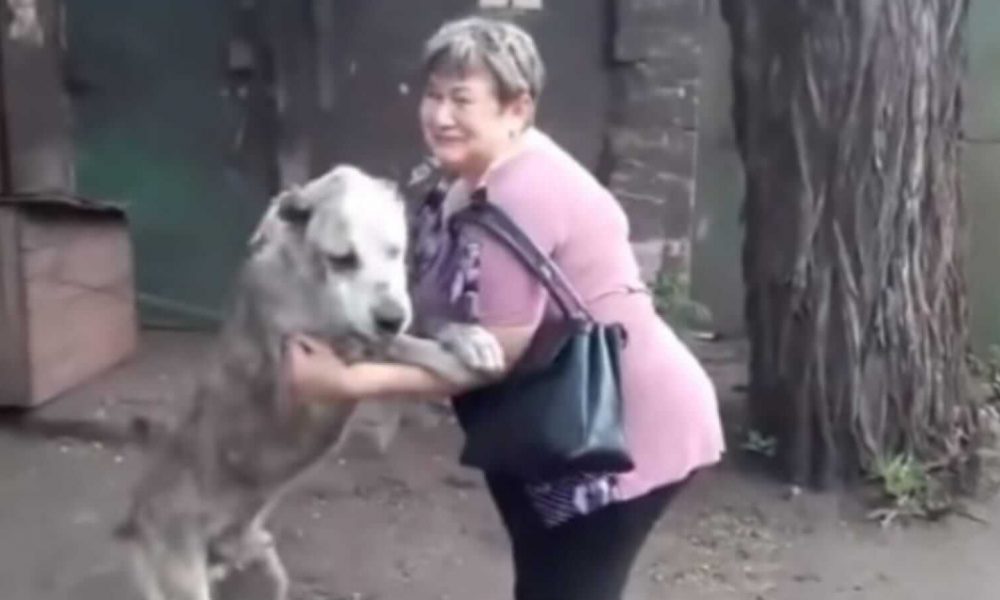 Mulher abraçando cachorro