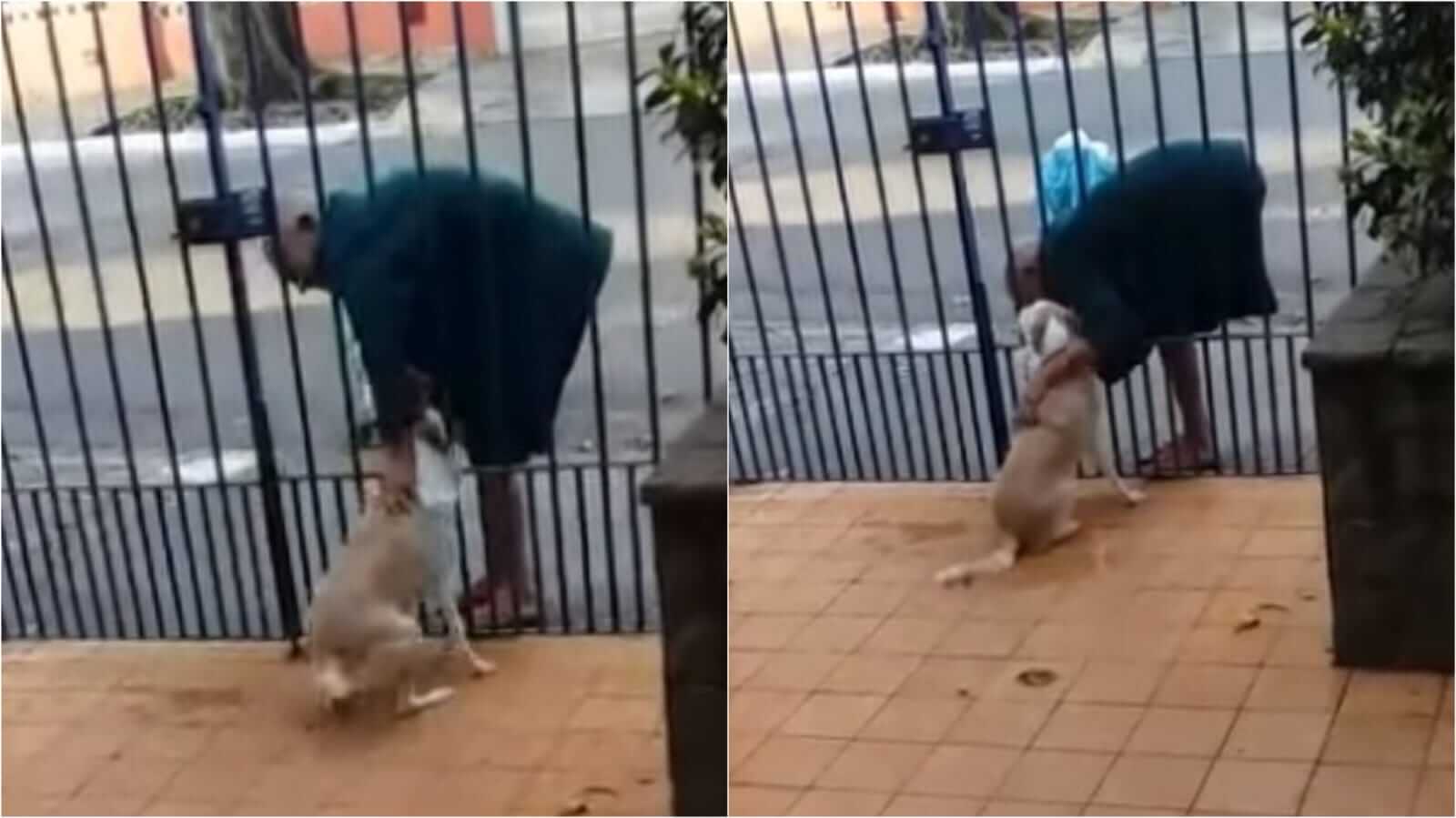 Homem fazendo carinho em cachorro