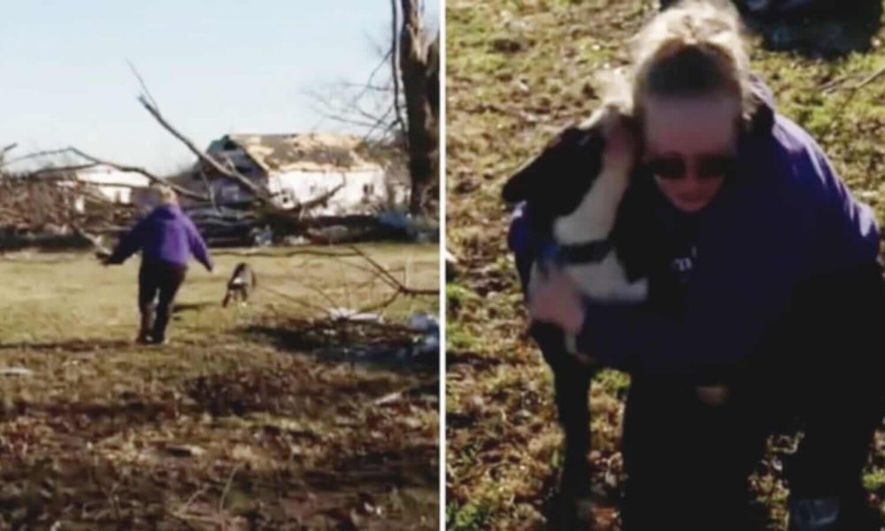 Mulher reencontra cachorro após tornado