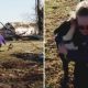 Mulher reencontra cachorro após tornado