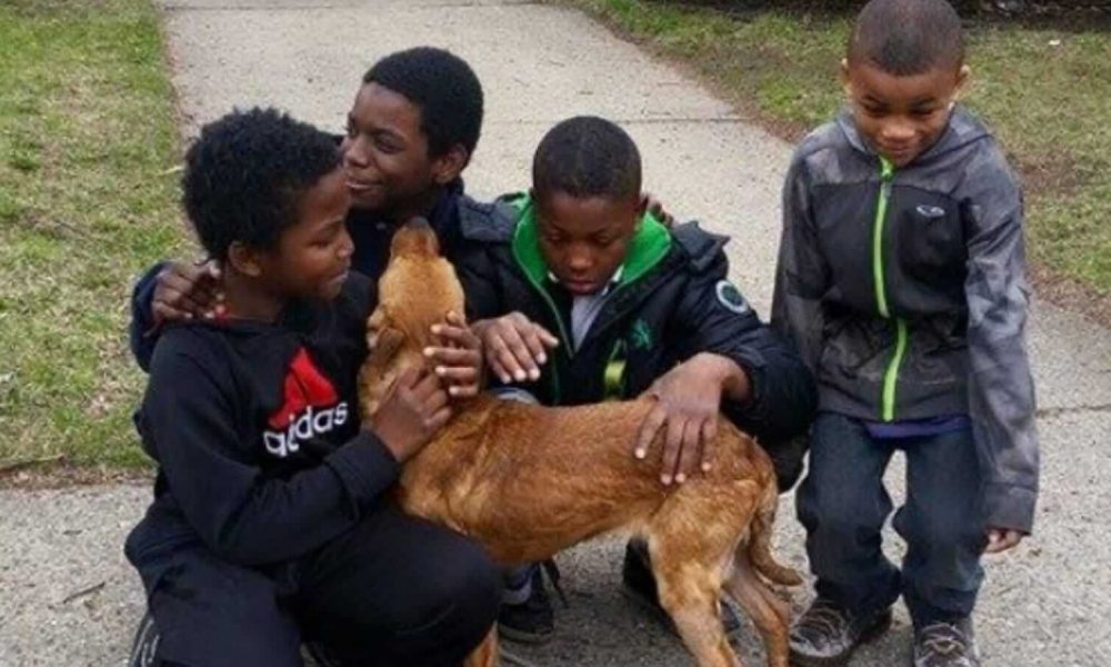 Quatro meninos brincando com cachorro