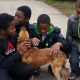 Quatro meninos brincando com cachorro