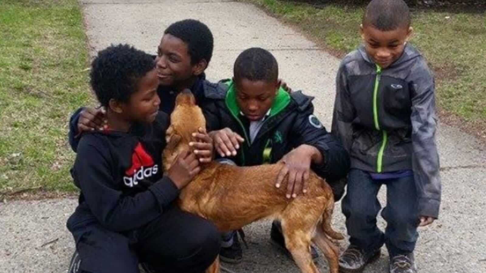Quatro meninos brincando com cachorro