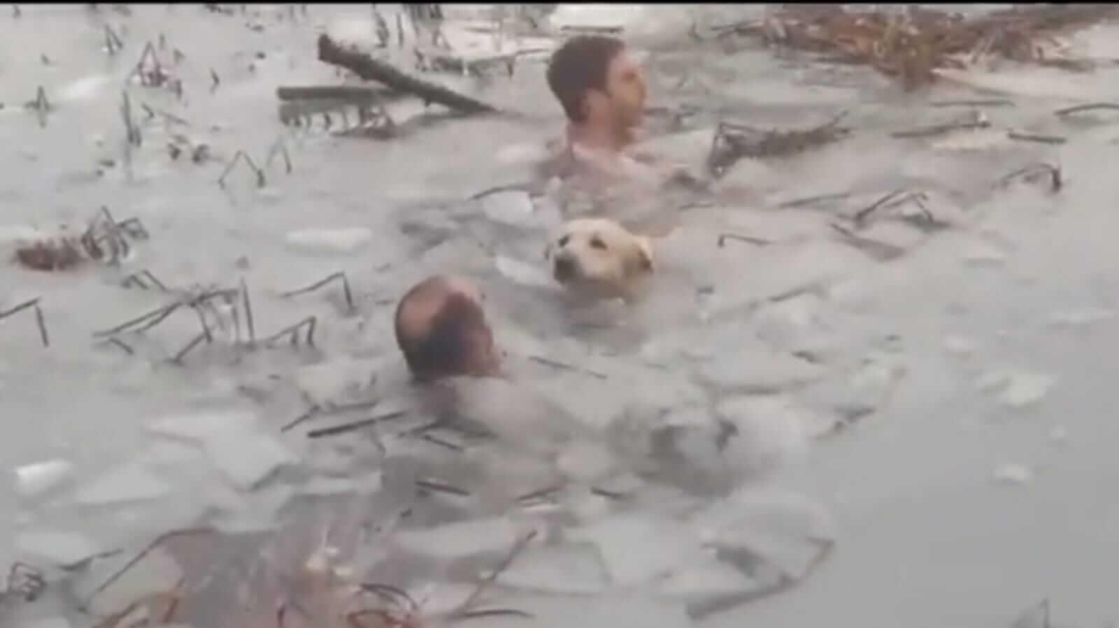 Dois homens tirando cachorro de lago congelado