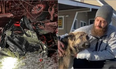Foto de carro após acidente e homem com cachorro