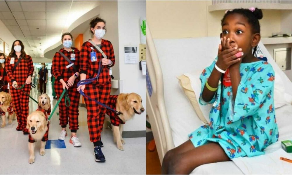 Pessoas levando cachorros em corredor de hospital infantil