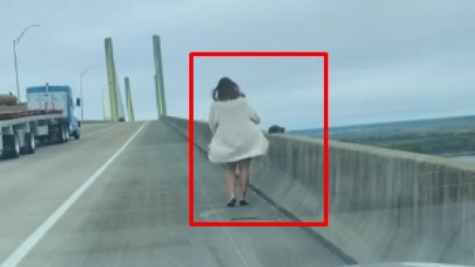 Trecho de vídeo de mulher tirando gato de ponte
