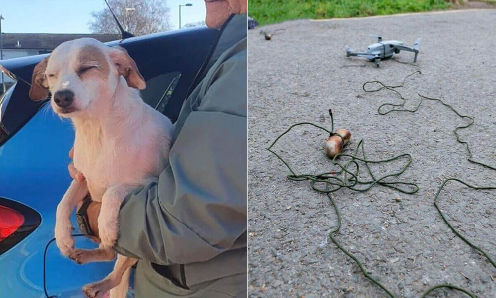 Cachorro resgatado e foto de drone com salsicha