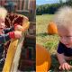 Criança nasce com síndrome do cabelo impenteável