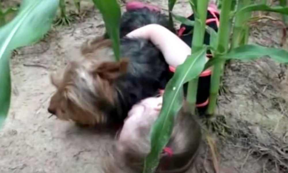 Menina deitada no chão abraçando cachorro