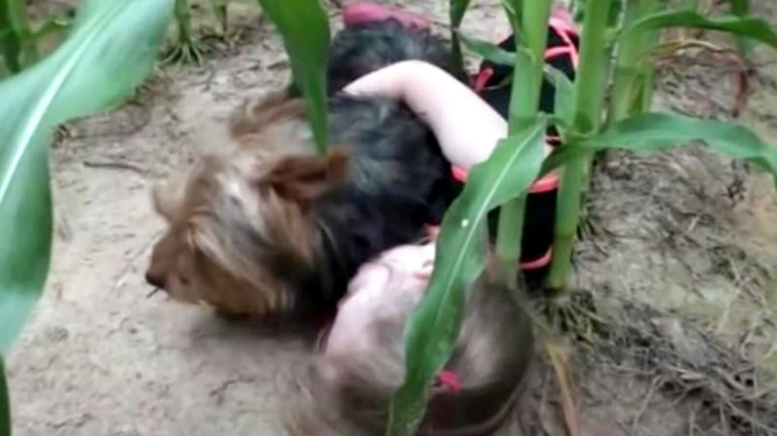 Menina deitada no chão abraçando cachorro