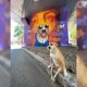 cachorro paraplégico ganha mural em viaduto