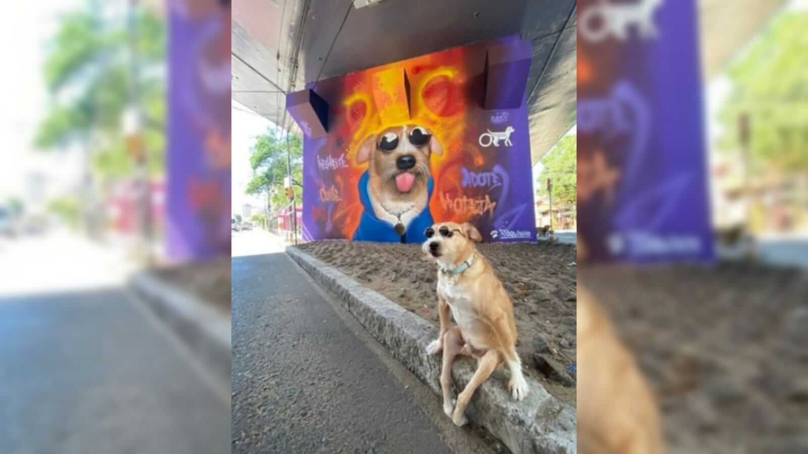 cachorro paraplégico ganha mural em viaduto
