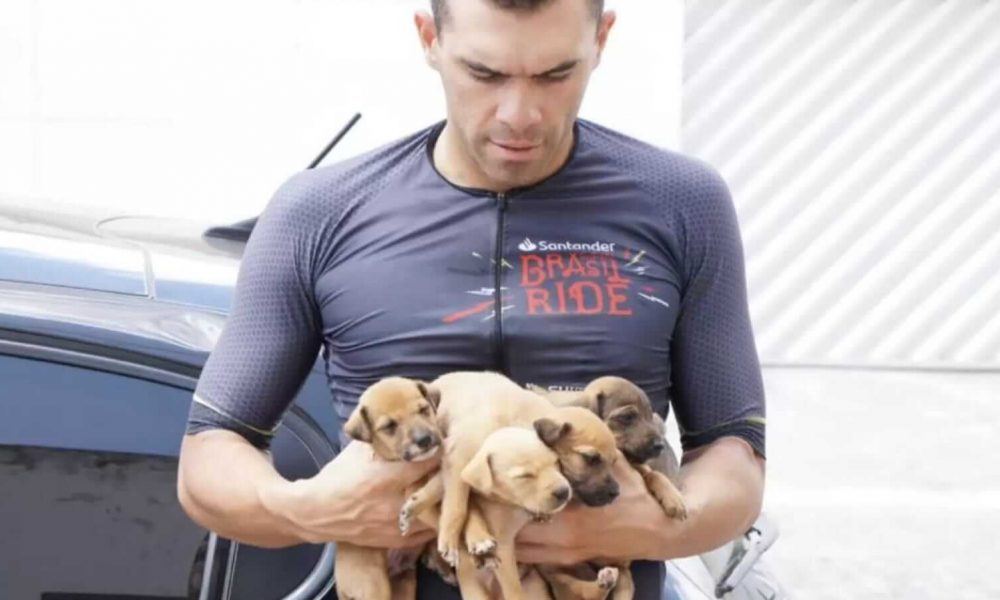 Ciclista com cinco filhotes de cachorro