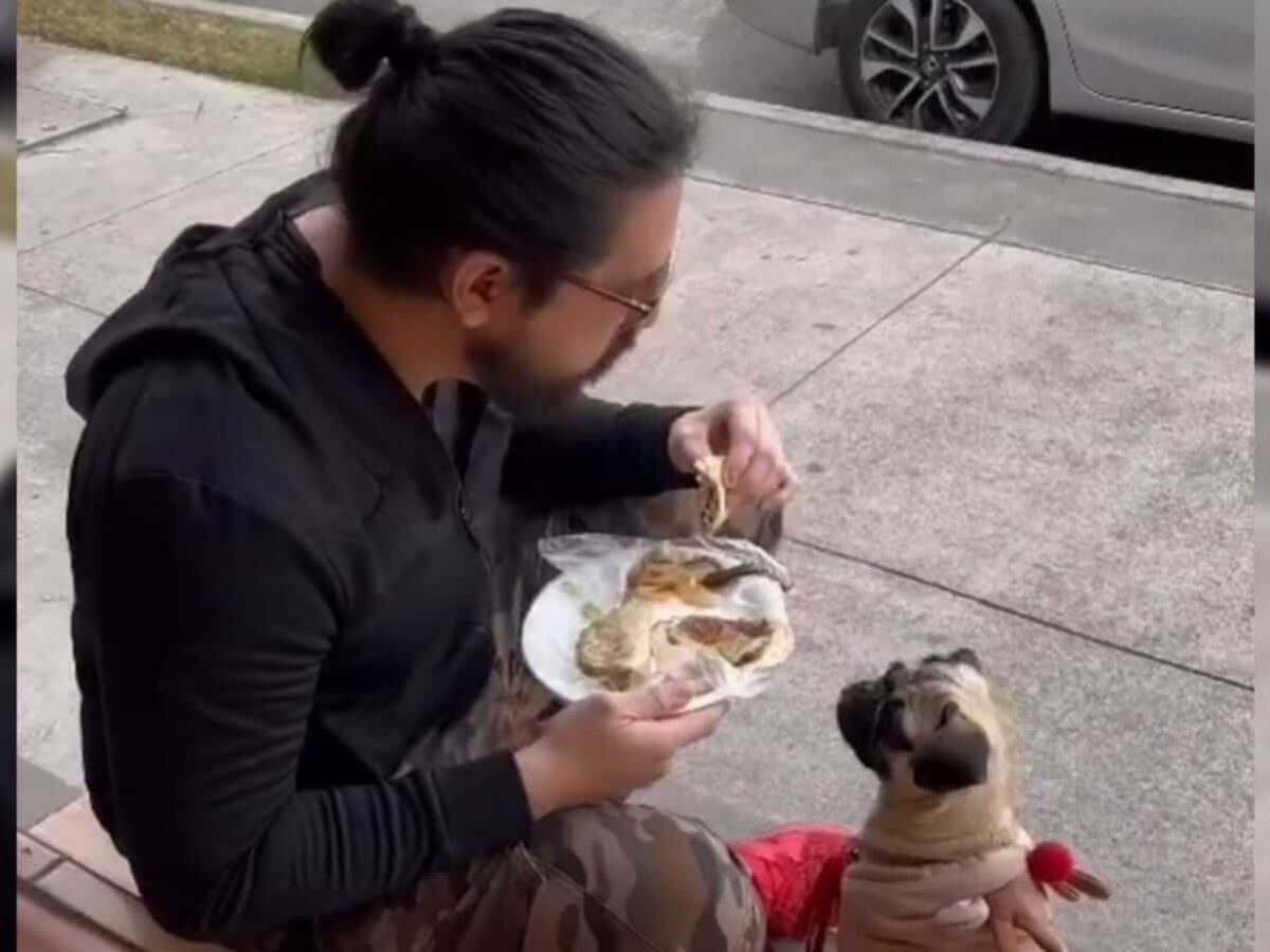 Vídeo de homem comendo cachorra