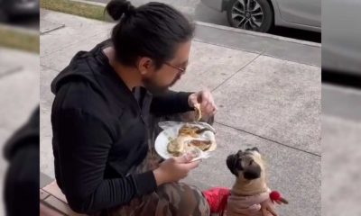 Homem comendo sentado no chão com cachorro pug