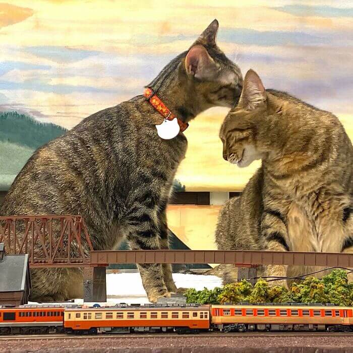 Gatos em miniatura de ferrovia