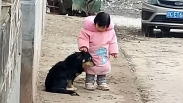 Menina fazendo carinho em cachorro