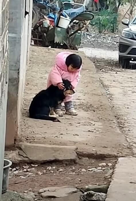 Menina fazendo carinho em cachorro