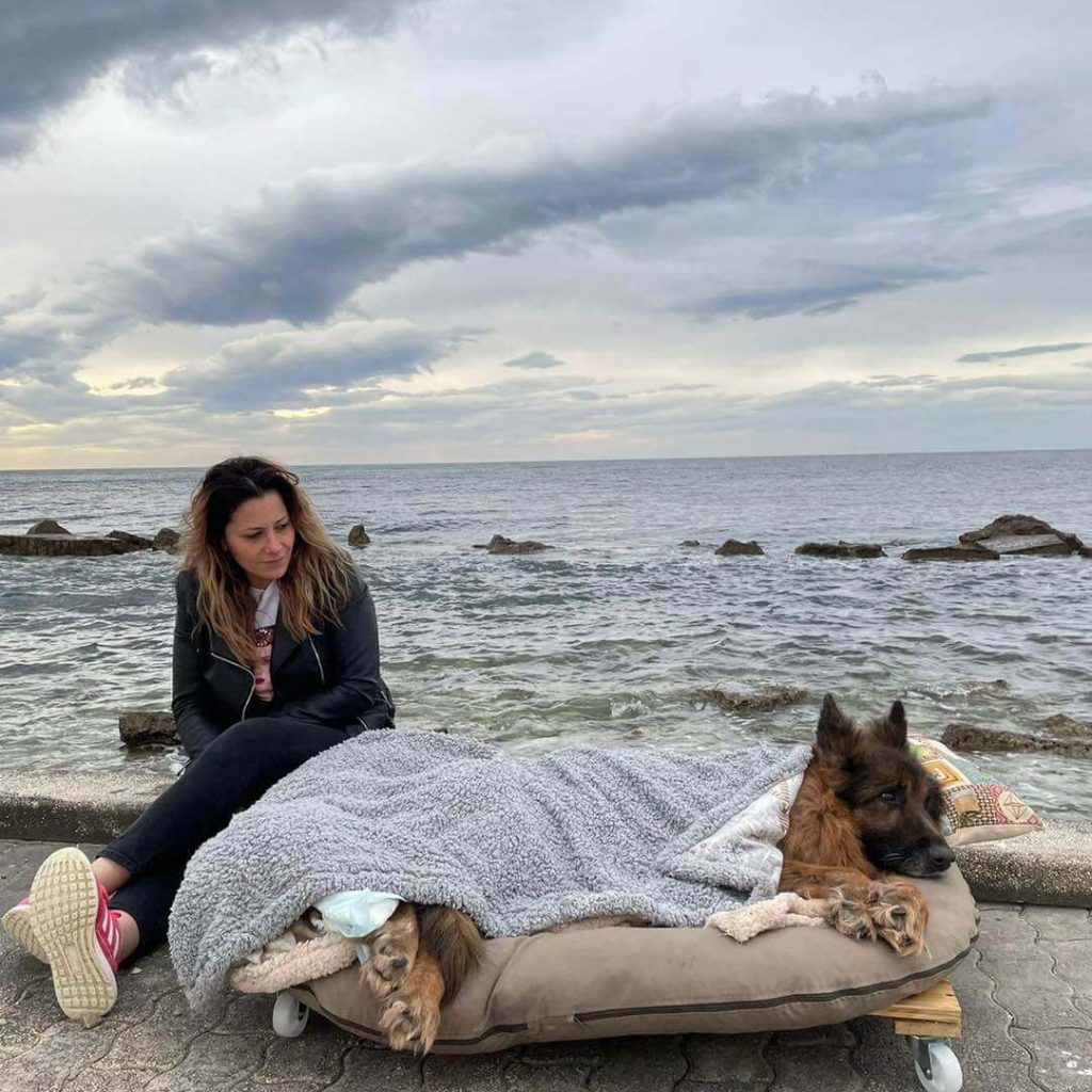 Cachorro deitado em colchão em frente ao mar com mulher